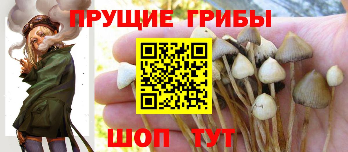 Галлюциногенные грибы Psilocybine cubensis  Вход с VPN  магазин продажи наркотиков  Галлюциногенные грибы мухоморы  Бугуруслан 