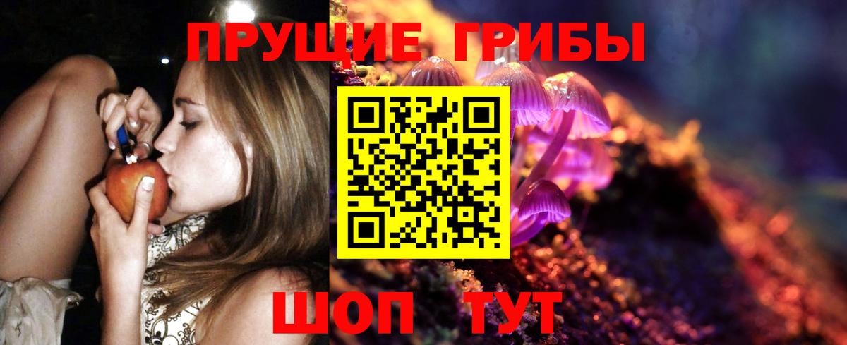 Псилоцибиновые грибы Бугуруслан
